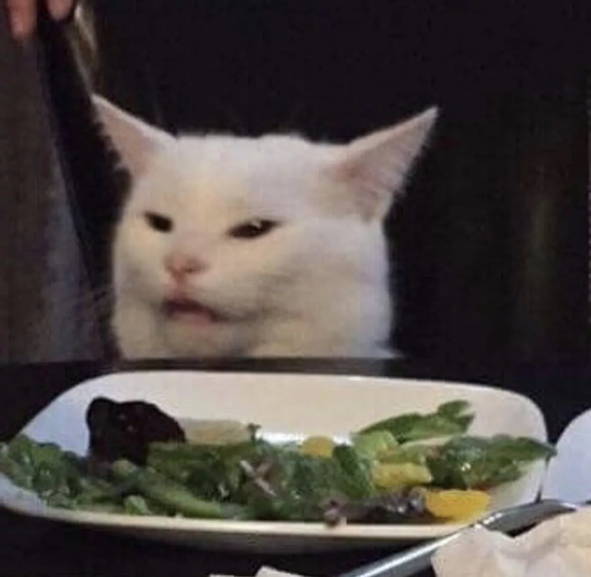 En vit katt med halvöppen mun sitter vid ett bord framför en tallrik med sallad.